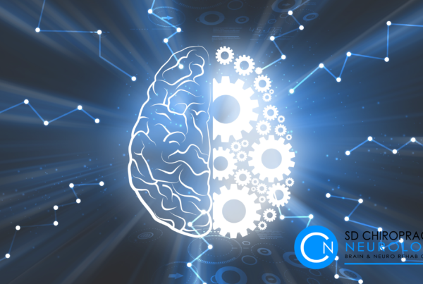 brain hemispheres